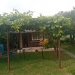 zdjęcie nr 