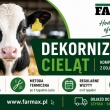 zdjęcie nr 