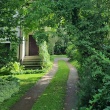 zdjęcie nr 