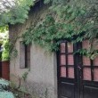 zdjęcie nr 