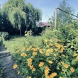 zdjęcie nr 