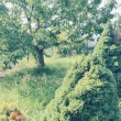 zdjęcie nr 