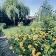 zdjęcie nr 