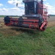 zdjęcie nr 