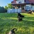 zdjęcie nr 