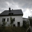 zdjęcie nr 