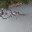 zdjęcie nr 