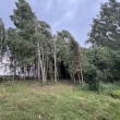 zdjęcie nr 