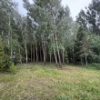 zdjęcie nr 