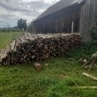 zdjęcie nr 