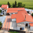 zdjęcie nr 