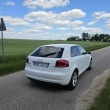zdjęcie nr 