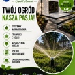 zdjęcie nr 