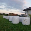 zdjęcie nr 