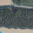 zdjęcie nr 
