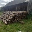 zdjęcie nr 