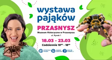 Wystawa pająków w przasnyskim Muzeum