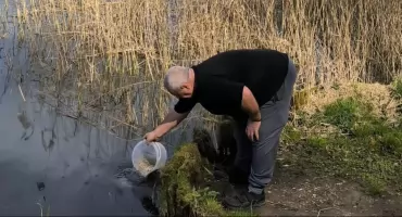 Zarybienie Zalewu Łoje – kolejne działanie na rzecz odbudowy ichtiofauny
