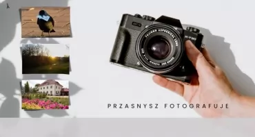 Tam, gdzie przyroda spotyka miasto – konkurs fotograficzny w Przasnyszu