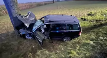 Zderzenie osobówki z łosiem w Sierakowie – kierowca w szpitalu, zwierzę nie przeżyło