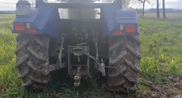 Wypadek przy wycince drzewa!