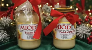 Pszczoły — najmniejsi demokraci świata