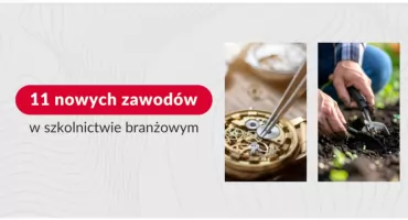 11 nowych zawodów w szkolnictwie branżowym – nowa jakość kształcenia od września 2026 r.