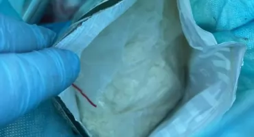 Policyjny nos nie zawodzi. Szron doprowadził śledczych do narkotyków ukrytych nawet w bieliźnie