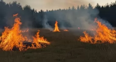 Wypalanie traw wciąż groźne. Policja apeluje o rozwagę i przypomina o surowych karach