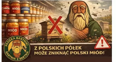Zamiast miodu z Bartnik – towar z importu? Pszczelarze biją na alarm.