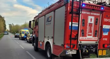 Kolizja auta z łosiem w Helenowie. Służby apelują o ostrożność