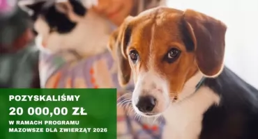 Chorzele z dofinansowaniem na pomoc zwierzętom. Ruszy czipowanie i zabiegi dla psów oraz kotów