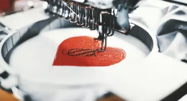 Bluzy z haftem logo – praktyczna i trwała odzież firmowa dla Twojej marki