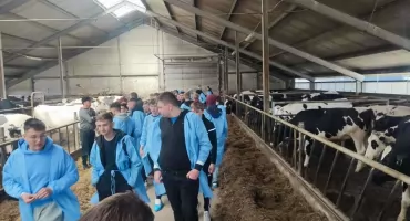 Nowoczesne rolnictwo od kuchni. Uczniowie technikum odwiedzili gospodarstwa mleczne