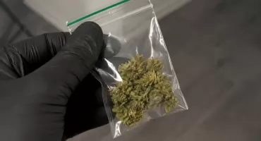 24-latek zatrzymany z marihuaną w Makowie Mazowieckim. Narkotyki ujawnili policjanci podczas interwencji