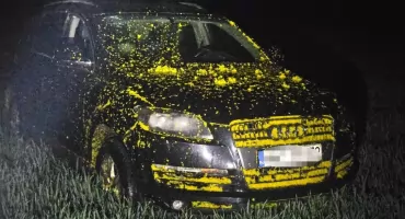 Zgłosiła kradzież Audi. Policjanci odkryli próbę ukrycia serii przestępstw