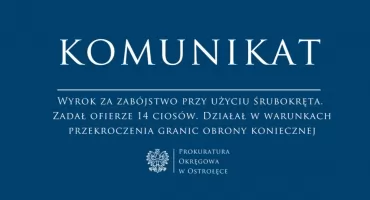 Dwie tragedie na drogach pod Przasnyszem. Śledczy badają okoliczności śmierci nastolatków