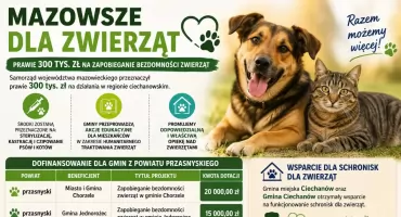 Mazowsze pomaga zwierzętom. Dofinansowanie także dla gmin z powiatu przasnyskiego