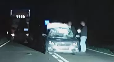 Zderzenie z łosiem w Makowie Mazowieckim. Dwie osoby trafiły do szpitala