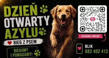 Zwierzaki, muzyka i wielkie serca. Przasnysz szykuje wyjątkowy piknik charytatywny