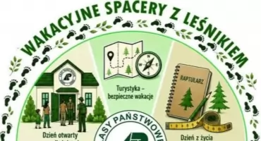 Wakacyjne spacery z leśnikiem. Leśnicy zapraszają do odkrywania tajemnic lasu
