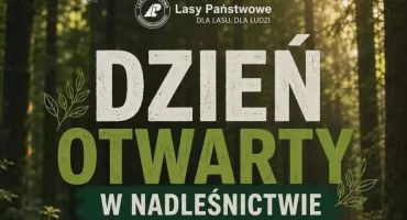 Nadleśnictwo Przasnysz zaprasza na dzień otwarty. Poznaj pracę leśników od kuchni