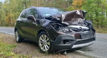 Sarna wbiegła na drogę. Groźna kolizja w Opaleńcu